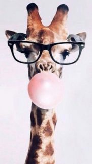 Animals Wallpapers Download – Free Animals HD Wallpapers for Mobile (17)