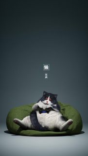 Animals Wallpapers Download – Free Animals HD Wallpapers for Mobile (20)