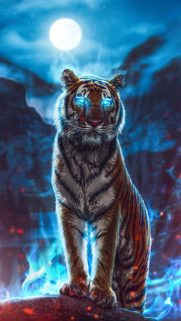 Animals Wallpapers Download – Free Animals HD Wallpapers for Mobile (7)
