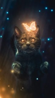 Animals Wallpapers Download – Free Animals HD Wallpapers for Mobile (8)