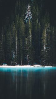 Beatifull-background-hd-wallpapers