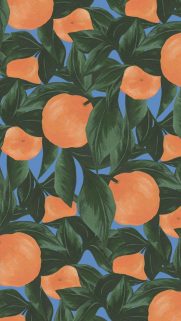 Best Design HD Wallpapers for iPhone and Phone – Free Download