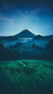 Best Phone HD Wallpapers Free Download-Bestwallpapers (17)