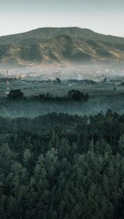 Best Phone HD Wallpapers Free Download-Bestwallpapers (18)