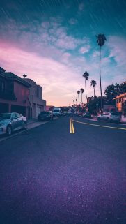 Best Phone HD Wallpapers Free Download-Bestwallpapers (23)