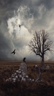Best Phone HD Wallpapers Free Download-Bestwallpapers (6)