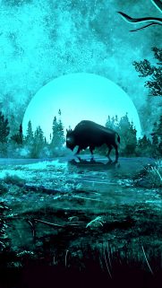 Cartoon Wallpapers for Mobile Free Download – Best Wallpapers (146)
