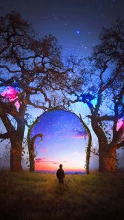 Cartoon Wallpapers for Mobile Free Download – Best Wallpapers (31)