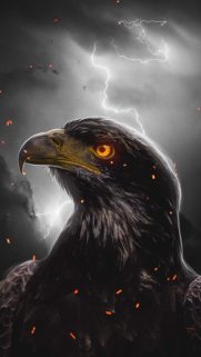 Cartoon Wallpapers for Mobile Free Download – Best Wallpapers (62)