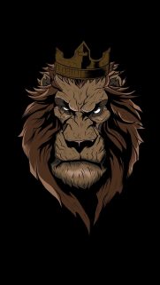 Cartoon Wallpapers for Mobile Free Download – Best Wallpapers (95)