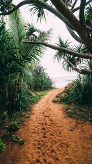 Download Free Wallpapers for Mobile – Best Wallpapers (6)