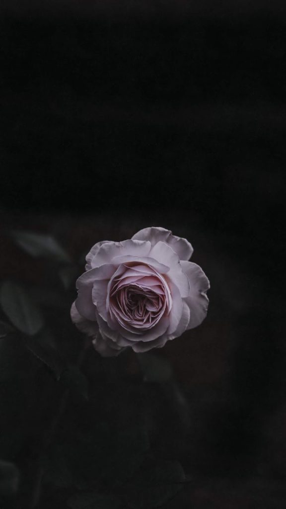 Previous