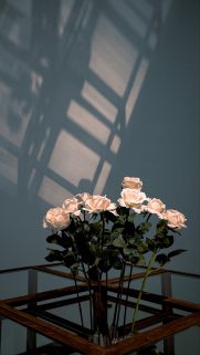 Flower Wallpapers Free Download – Best Flowers Wallpapers for Mobile (27)