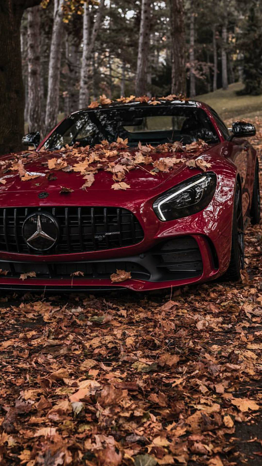 Mercedes_AMG_GTS red view car hd wallpapers - Best Wallpapers