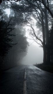 Nature Wallpapers Free Download – Best Nature Wallpapers for Mobile (100)