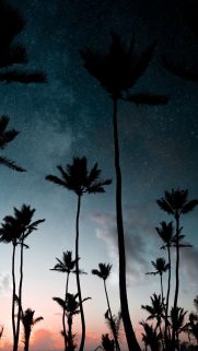 Nature Wallpapers Free Download – Best Nature Wallpapers for Mobile (106)
