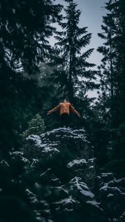 Tree Wallpapers Free Download – Best Tree Wallpapers for Mobile