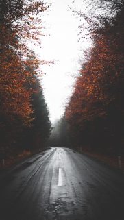 Nature Wallpapers Free Download – Best Nature Wallpapers for Mobile (133)