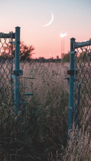 Nature Wallpapers Free Download – Best Nature Wallpapers for Mobile (135)