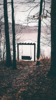 Nature Wallpapers Free Download – Best Nature Wallpapers for Mobile (136)