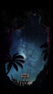Tree Wallpapers Free Download – Best Tree Wallpapers for Mobile