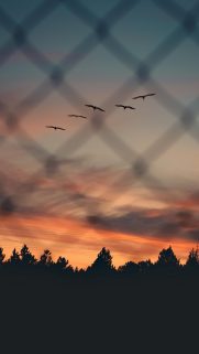 Nature Wallpapers Free Download – Best Nature Wallpapers for Mobile (139)