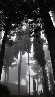 Nature Wallpapers Free Download – Best Nature Wallpapers for Mobile (182)