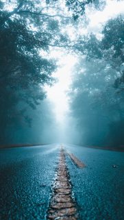 Nature Wallpapers Free Download – Best Nature Wallpapers for Mobile (184)