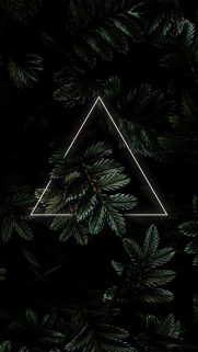 Nature Wallpapers Free Download – Best Nature Wallpapers for Mobile (186)