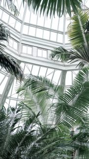 Nature Wallpapers Free Download – Best Nature Wallpapers for Mobile (198)