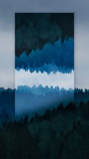 Nature Wallpapers Free Download – Best Nature Wallpapers for Mobile (202)