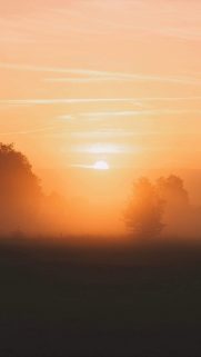 Nature Wallpapers Free Download – Best Nature Wallpapers for Mobile (229)