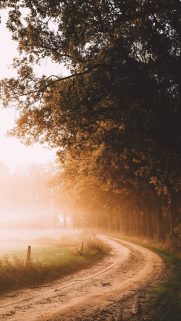 Nature Wallpapers Free Download – Best Nature Wallpapers for Mobile (248)