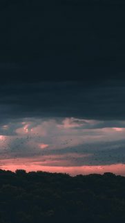 Nature Wallpapers Free Download – Best Nature Wallpapers for Mobile (286)