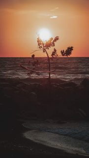Nature Wallpapers Free Download – Best Nature Wallpapers for Mobile (291)