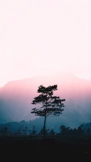 Nature Wallpapers Free Download – Best Nature Wallpapers for Mobile (300)