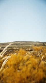 Nature Wallpapers Free Download – Best Nature Wallpapers for Mobile (305)