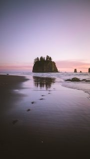 Nature Wallpapers Free Download – Best Nature Wallpapers for Mobile (336)
