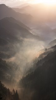 Nature Wallpapers Free Download – Best Nature Wallpapers for Mobile (343)