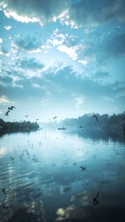 Nature Wallpapers Free Download – Best Nature Wallpapers for Mobile (344)