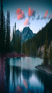 Nature Wallpapers Free Download – Best Nature Wallpapers for Mobile (366)