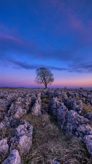 Nature Wallpapers Free Download – Best Nature Wallpapers for Mobile (377)