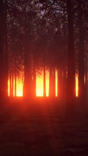Nature Wallpapers Free Download – Best Nature Wallpapers for Mobile (397)