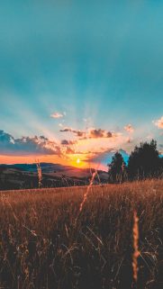 Nature Wallpapers Free Download – Best Nature Wallpapers for Mobile (56)