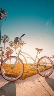 Nature Wallpapers Free Download – Best Nature Wallpapers for Mobile (6)