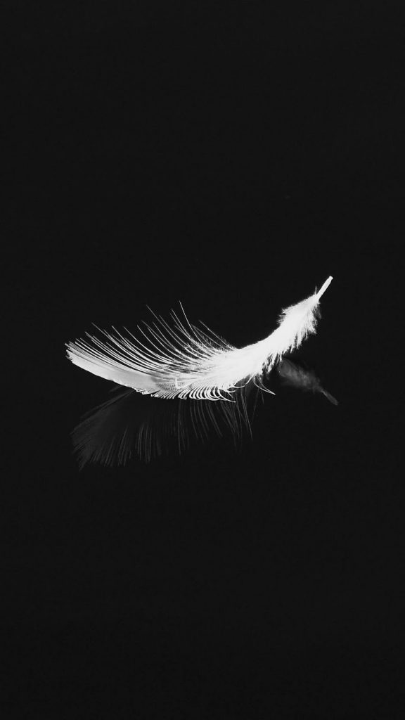 Previous