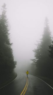 Nature Wallpapers Free Download – Best Nature Wallpapers for Mobile (77)
