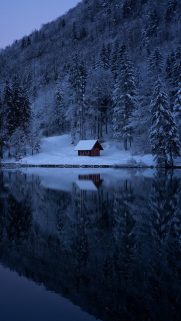 Nature Wallpapers Free Download – Best Nature Wallpapers for Mobile (78)