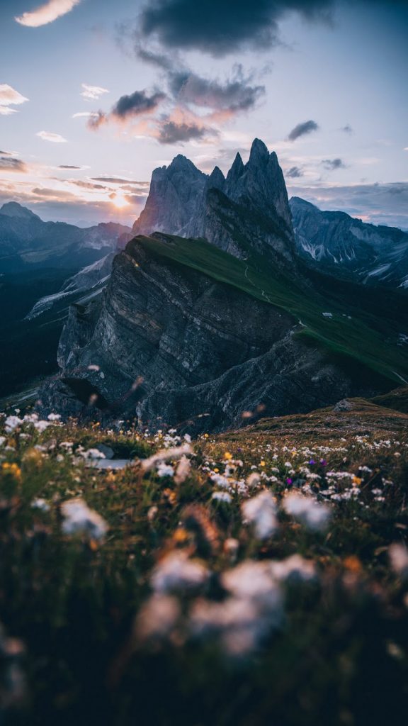Previous