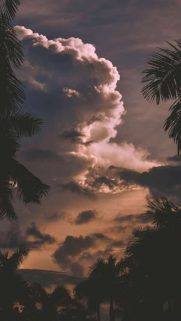 Nature Wallpapers Free Download – Best Nature Wallpapers for Mobile (88)